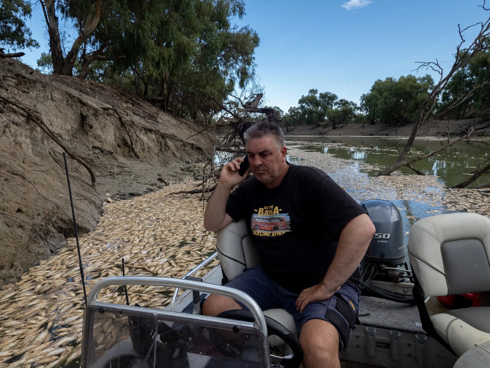 ca chet hang loat anh 2