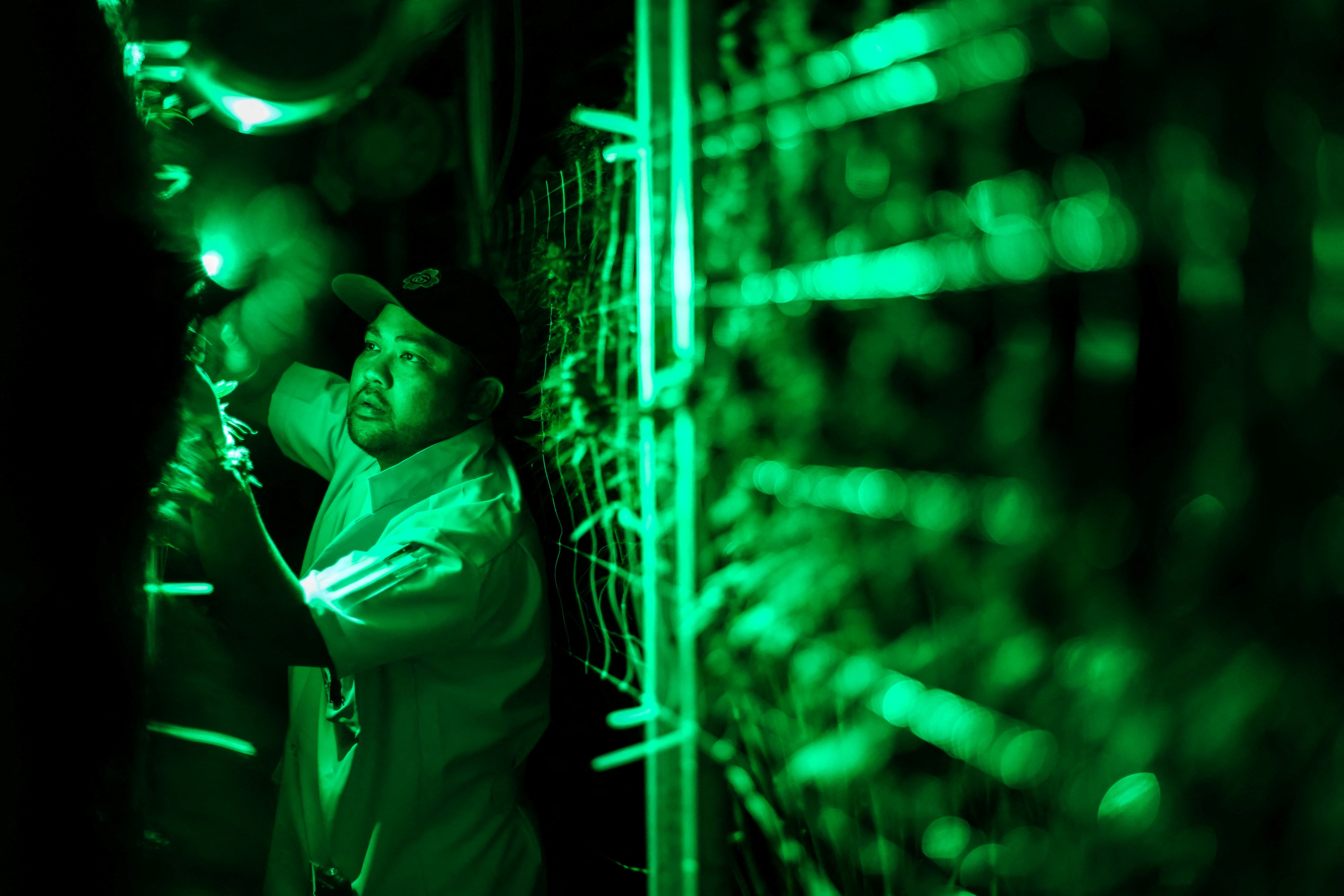 Thai Lan 'vo mong' voi con sot can sa hinh anh