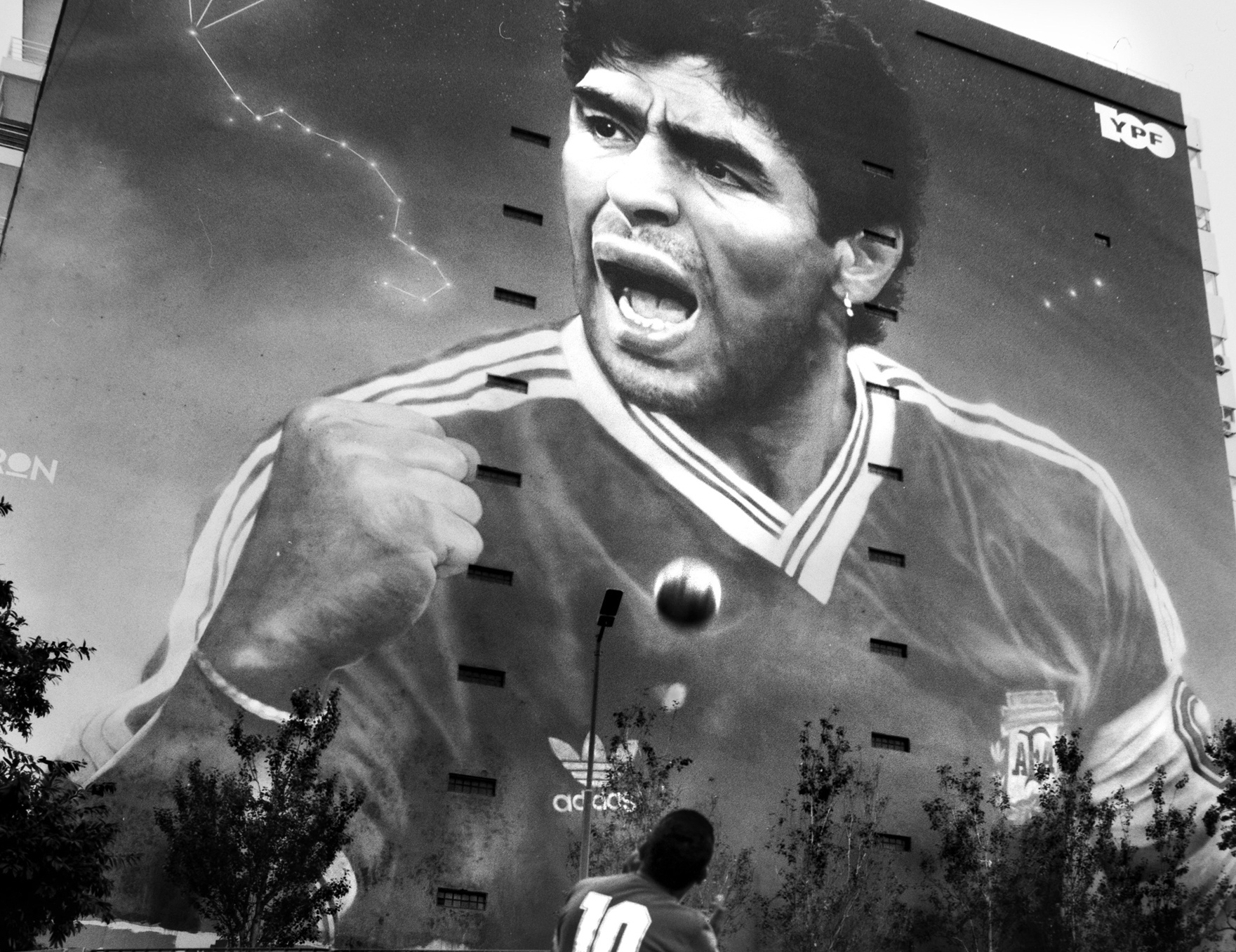 DSQ Argentina mo trien lam nhan ky niem 50 nam quan he voi Viet Nam hinh anh