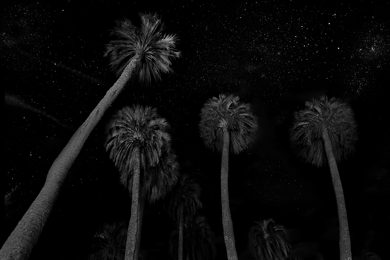 triển lãm Argentina ảnh 2 trien lam Argentina anh 2