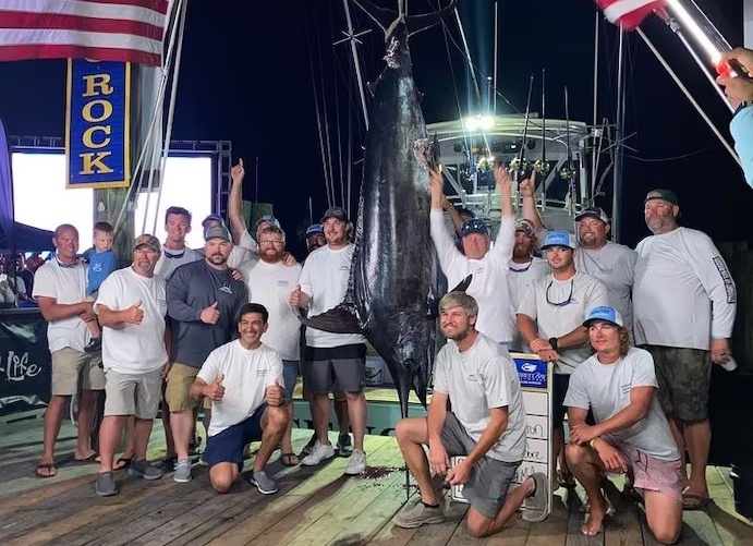 Mat 3,5 trieu USD vi con ca co xanh hon 280 kg bi ca map can hinh anh