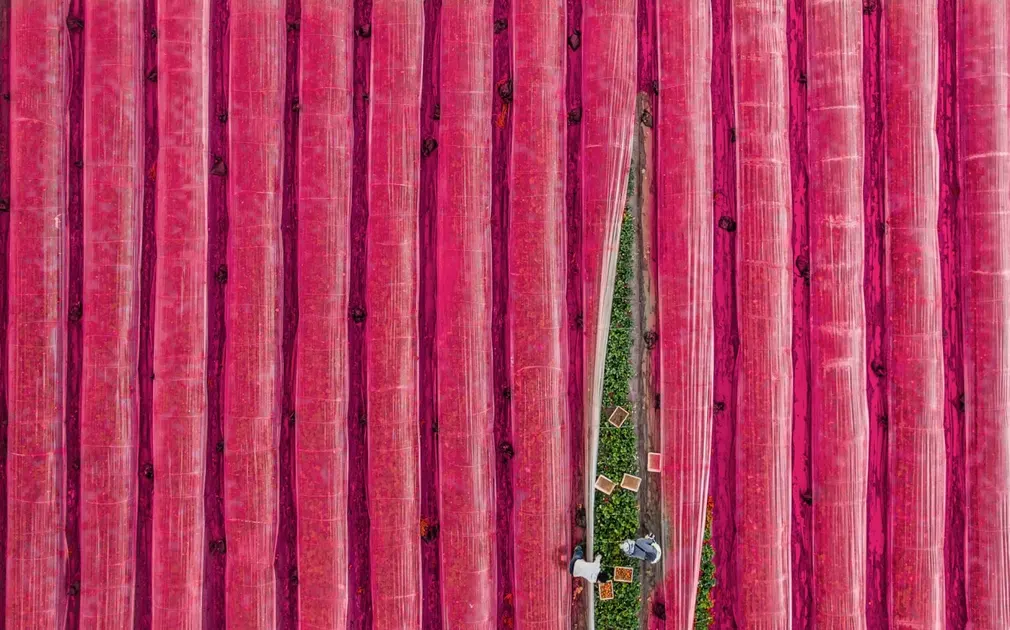 anh chup tren khong anh 6