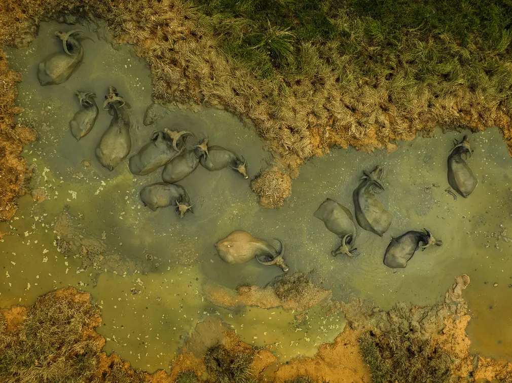 anh chup tren khong anh 7