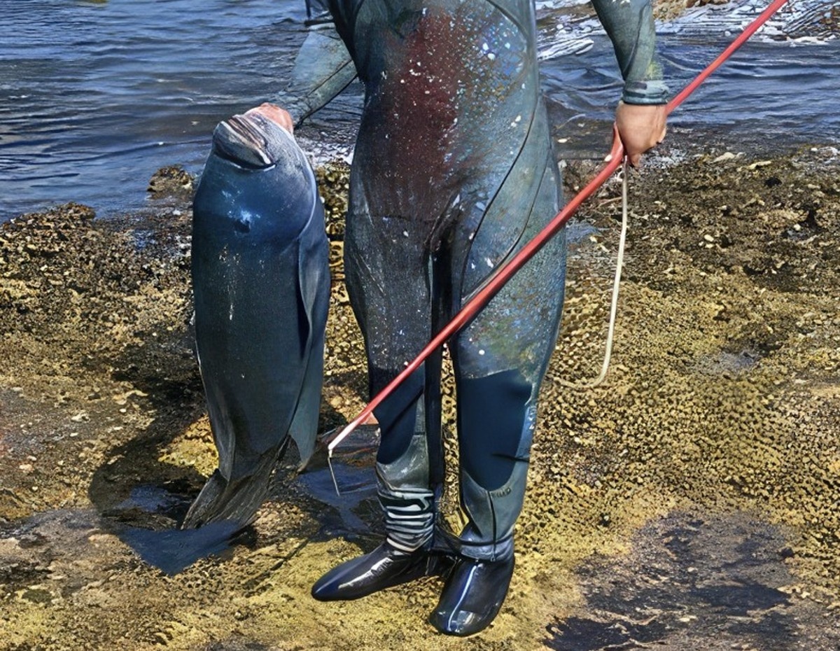 Bi phat 500 USD sau khi chup anh cung ca mu xanh bi phong lao hinh anh