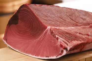 Con ca ngu vay xanh gia hon 19 ty dong hinh anh