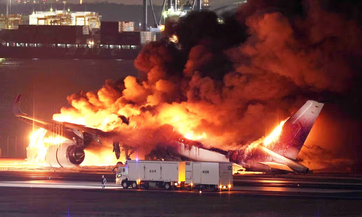 Japan Airlines ảnh 1 Japan Airlines anh 1