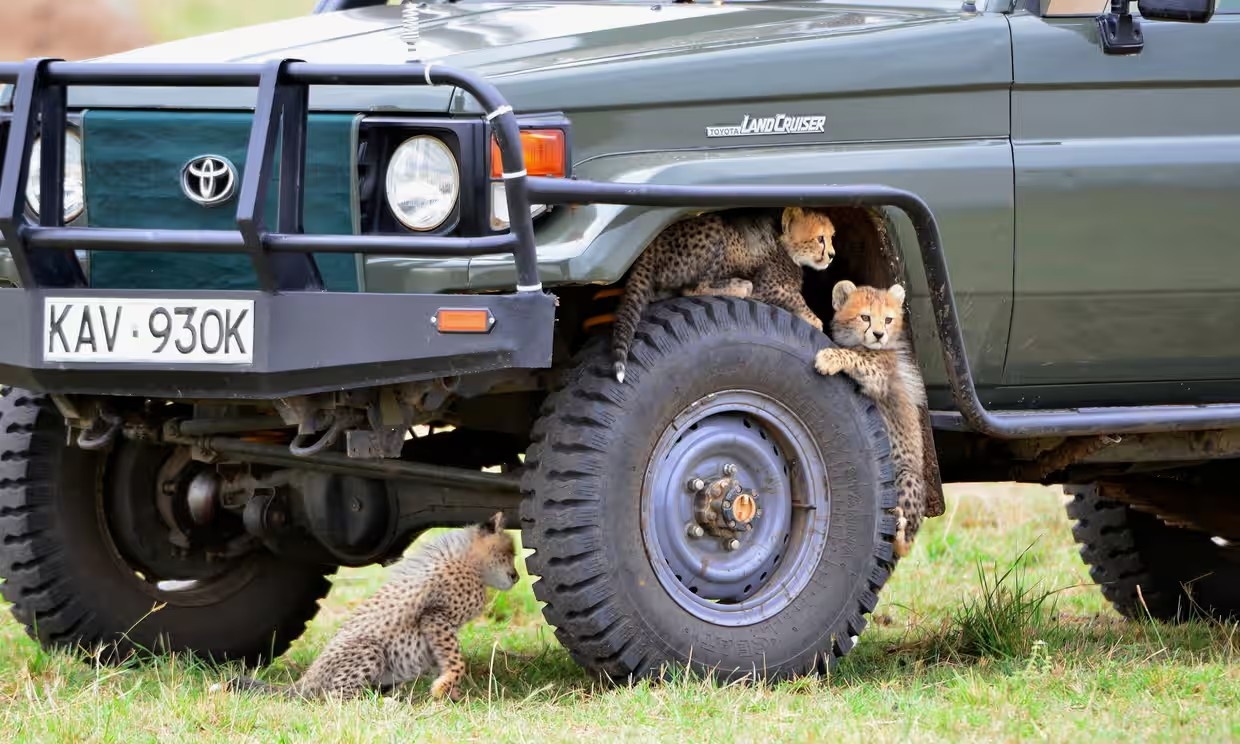 Quoc gia bat ngo tuyen bo mien thi thuc cho toan nhan loai hinh anh