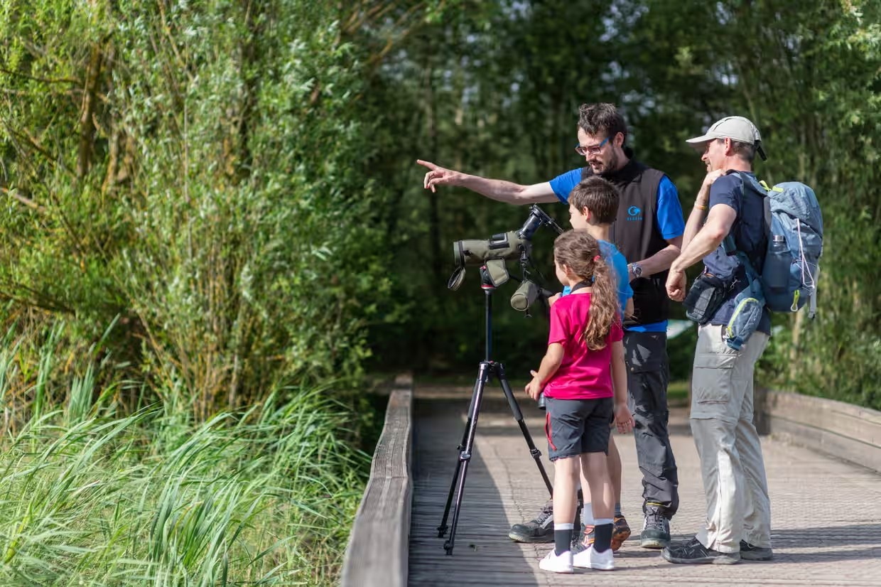 Vitoria-Gasteiz anh 1