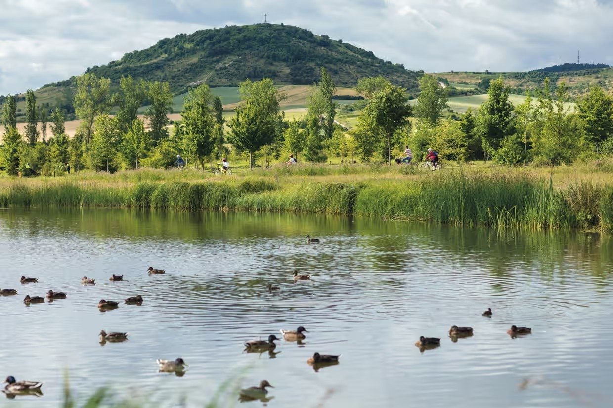 Vitoria-Gasteiz anh 3