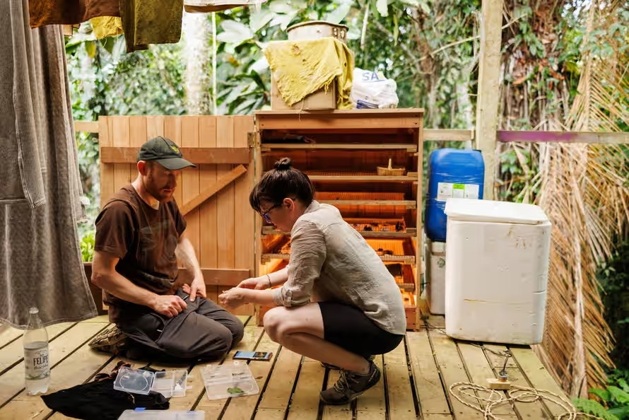 nấm lạ ảnh 15 nam la anh 15