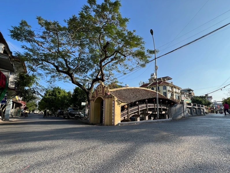 Cay cau ngoi 500 nam tuoi dep nhat mien Bac hinh anh