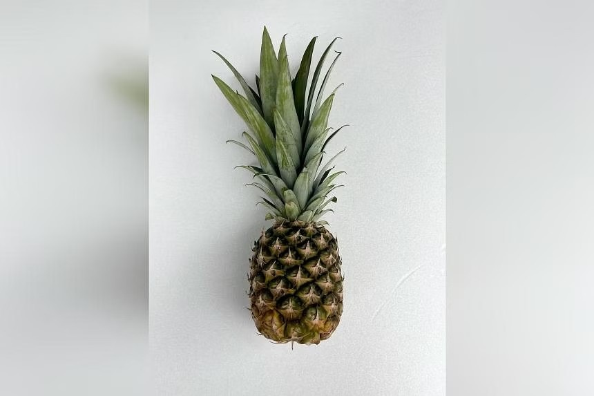 Trai dua 'troi day' o quoc dao Su tu nam 2023 hinh anh