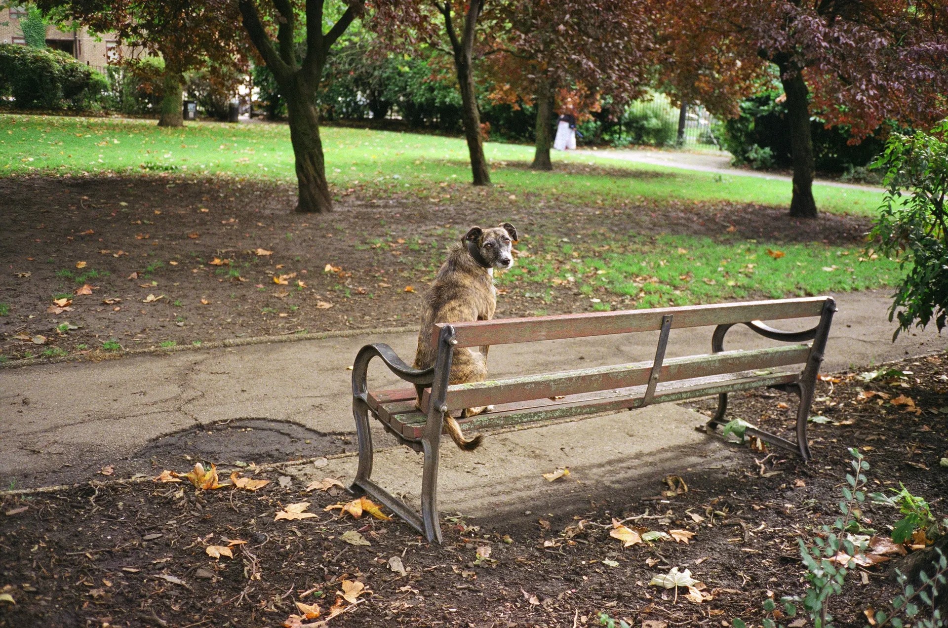 anh doi thuong anh 12