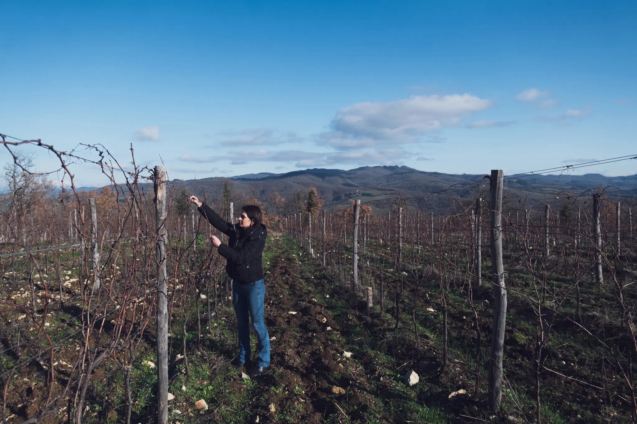 ruou vang Chianti anh 2