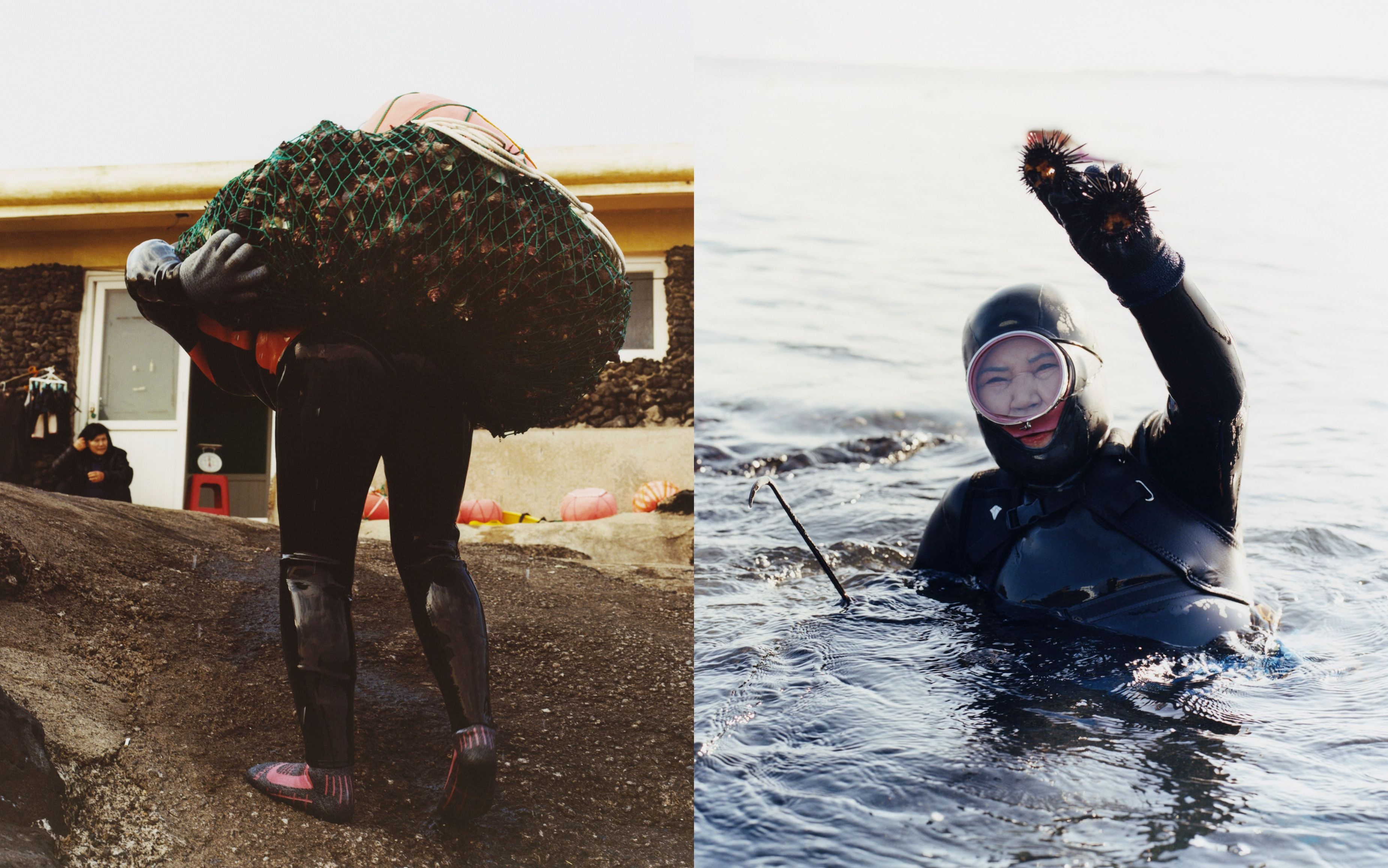 Haenyeo ảnh 8 Haenyeo anh 8