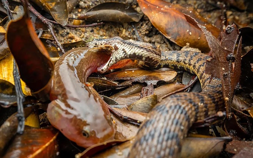 phát hiện ảnh 2 phat hien anh 2