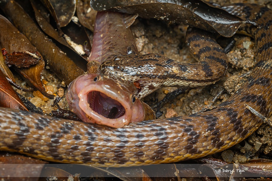 phát hiện ảnh 1 phat hien anh 1