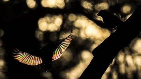 bức ảnh ảnh 3 buc anh anh 3