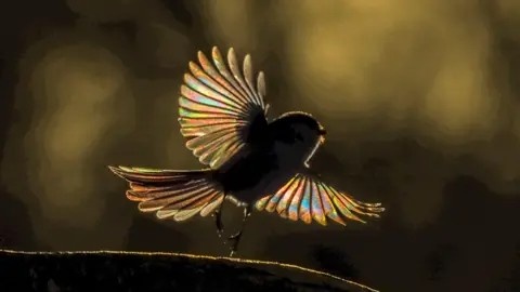 bức ảnh ảnh 4 buc anh anh 4