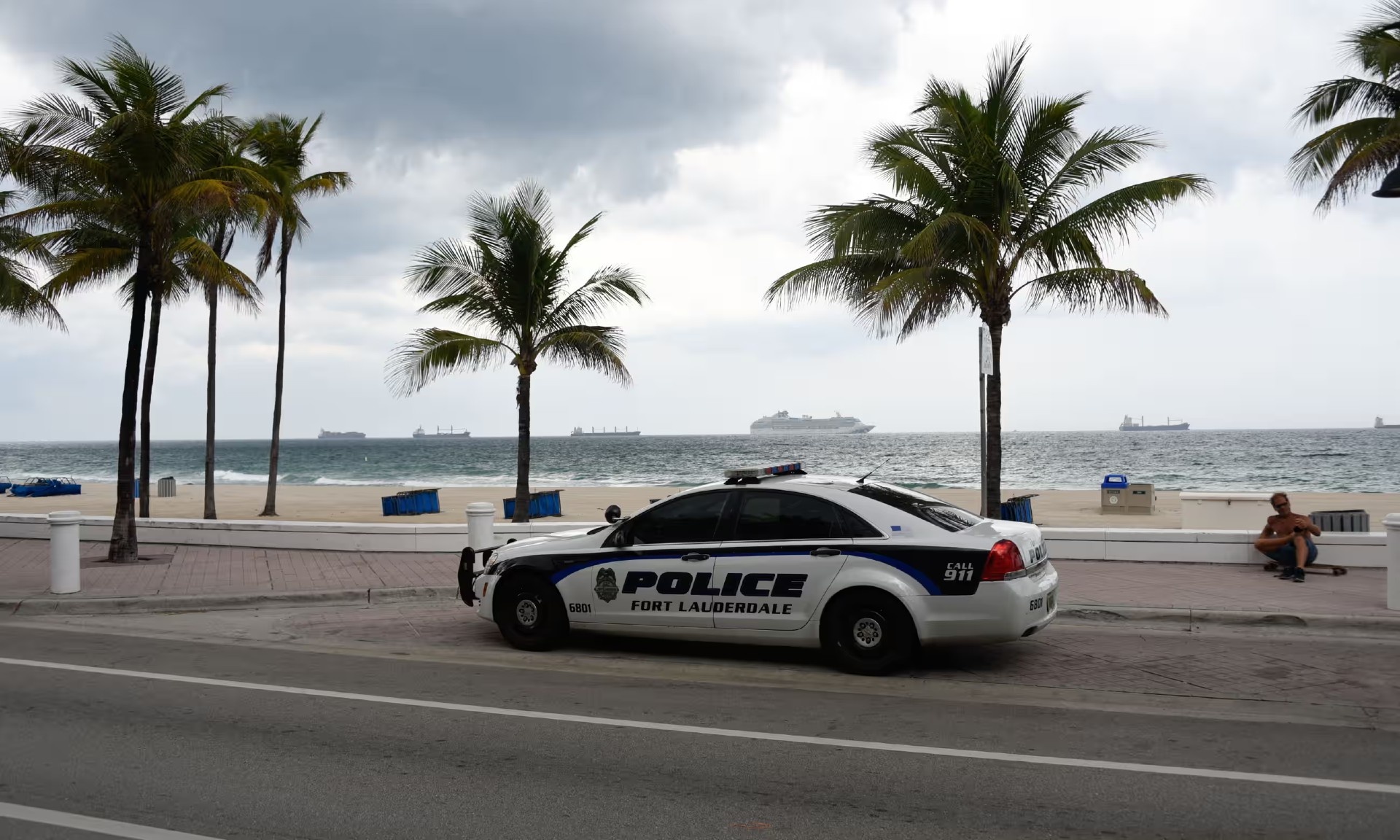 tham kich ho cat anh 1