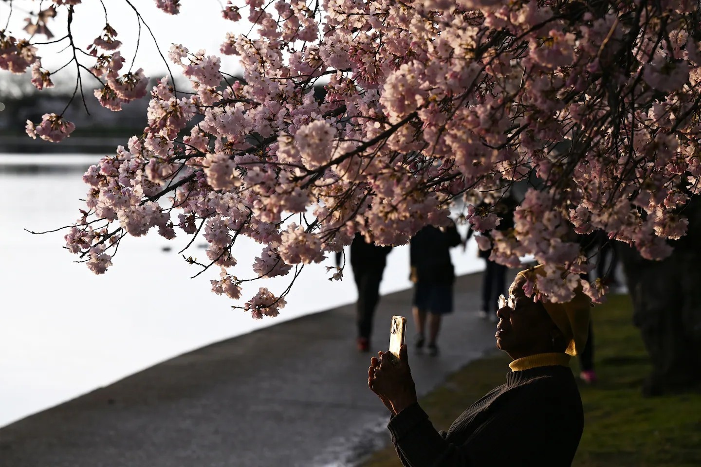 Stumpy ảnh 8 Stumpy anh 8