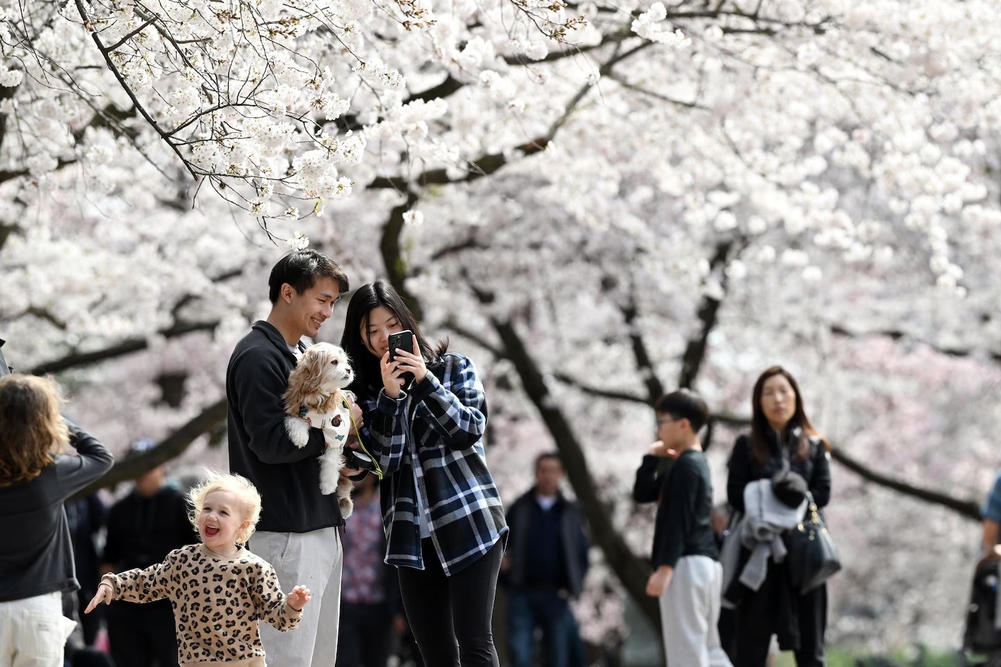 Stumpy ảnh 6 Stumpy anh 6