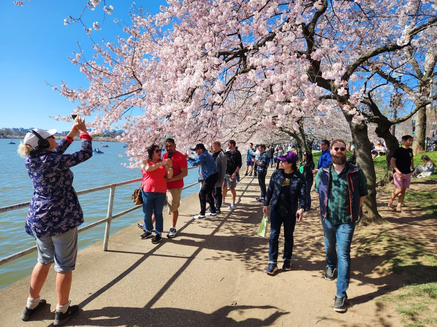 anh dao Stumpy anh 1