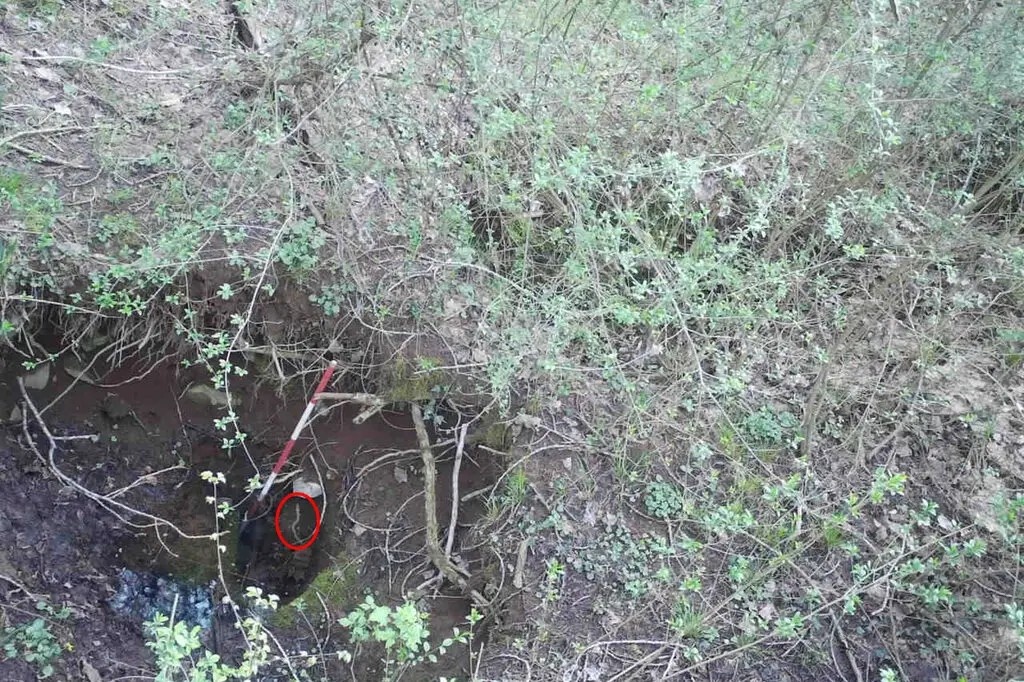 ky nhong hang mu anh 2