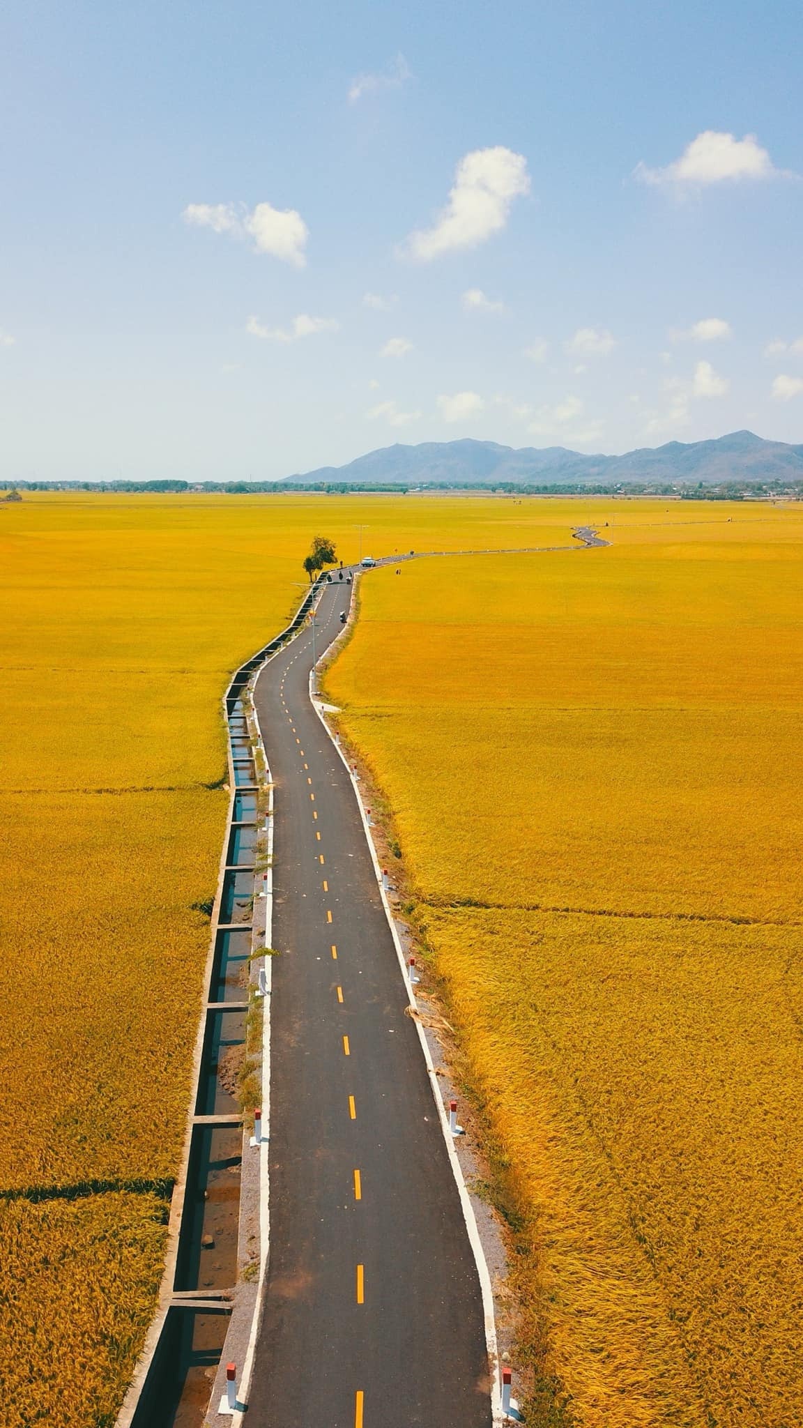 gây sốt ảnh 7 gay sot anh 7