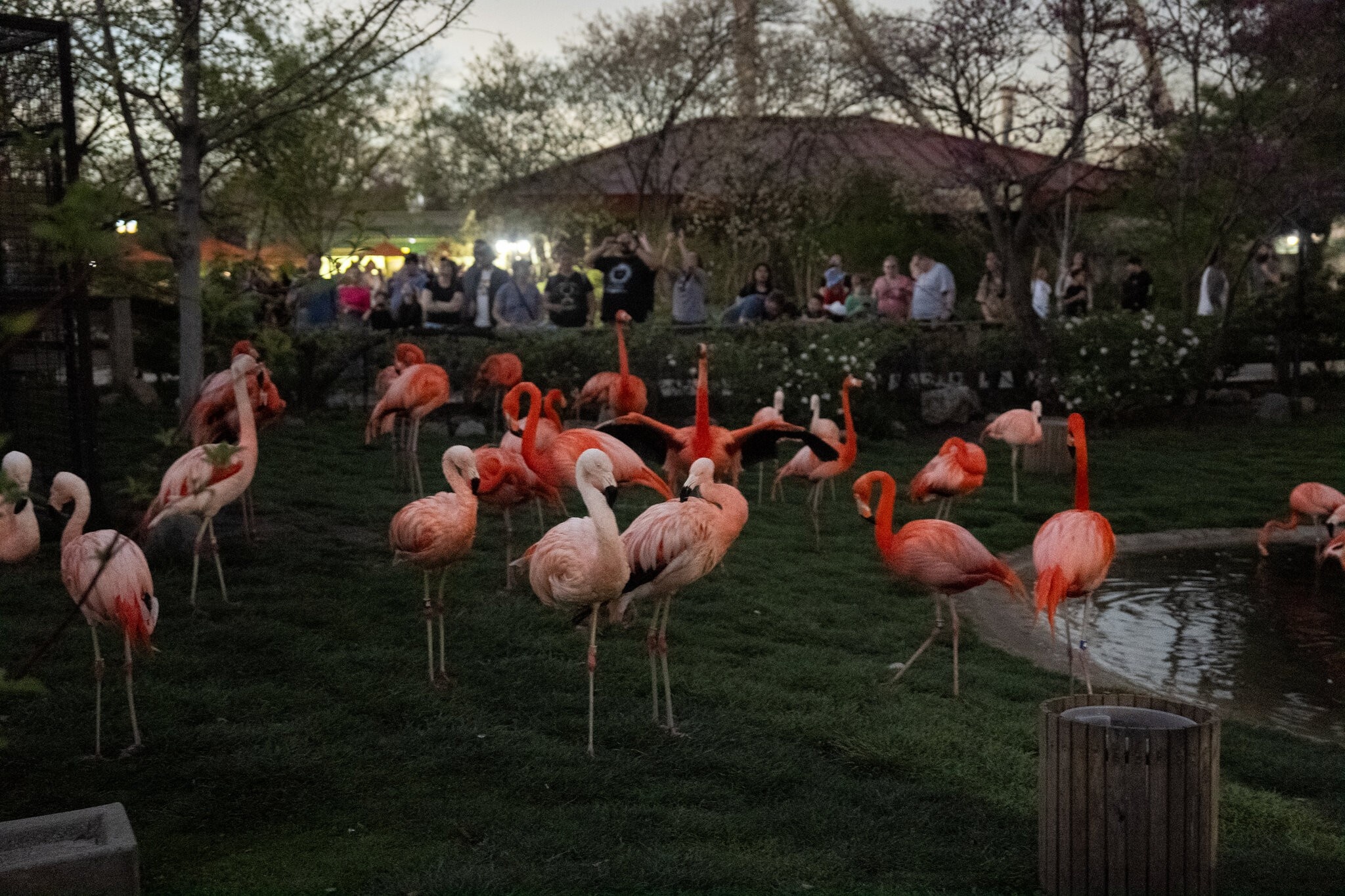 nhat thuc toan phan anh 15