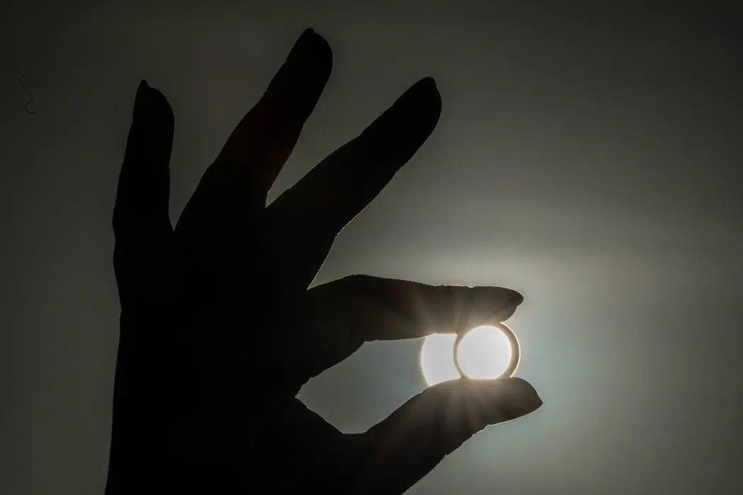 nhat thuc toan phan anh 3