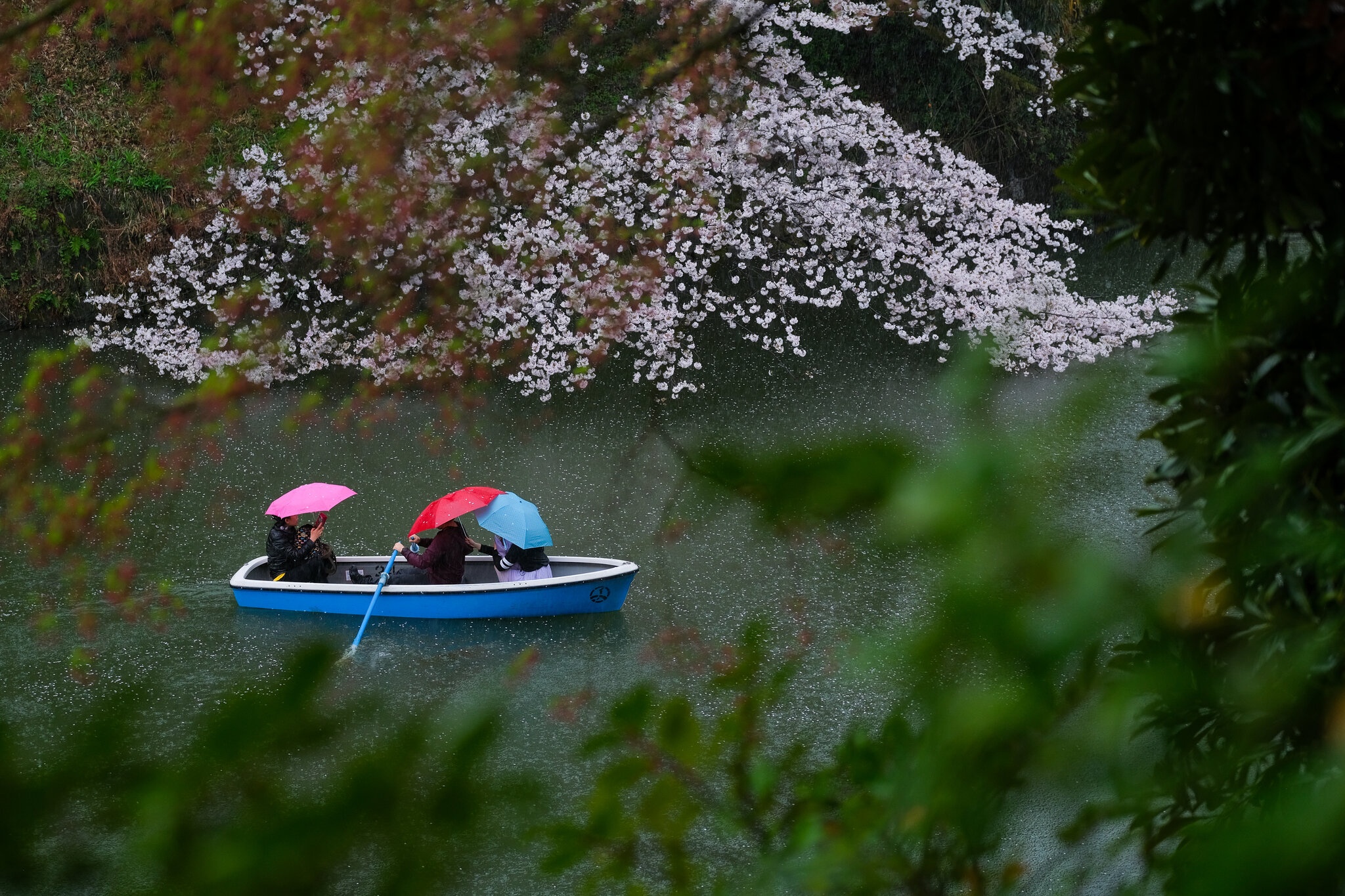 Ca nuoc Nhat co the se co cung ho Sato vao nam 2531 hinh anh