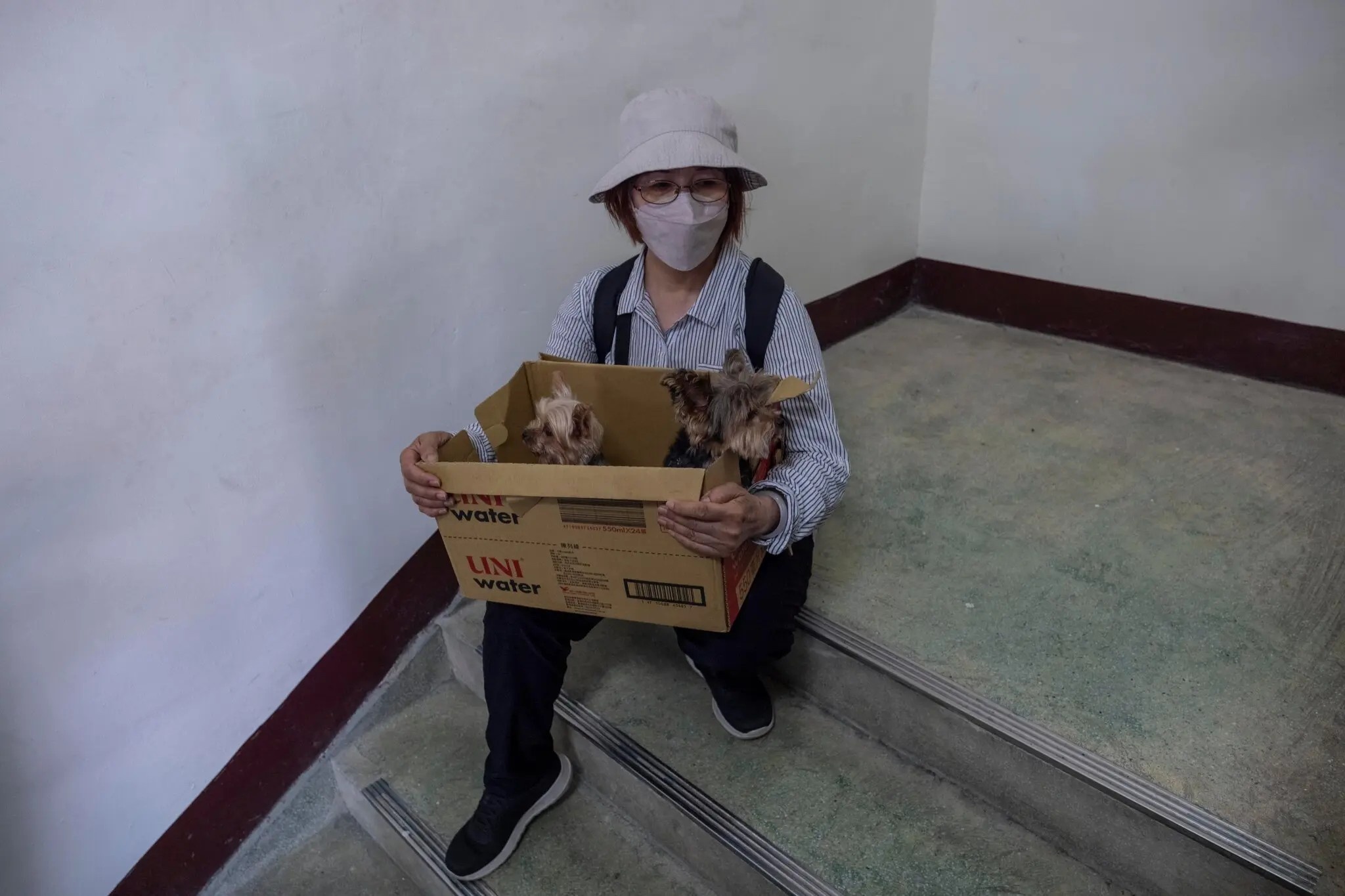 dong dat dai loan anh 5