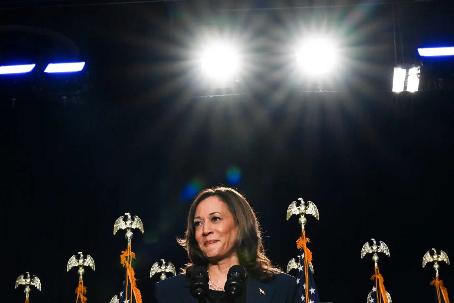 Ba Harris 'xuat tran' o bang chien truong Wisconsin hinh anh