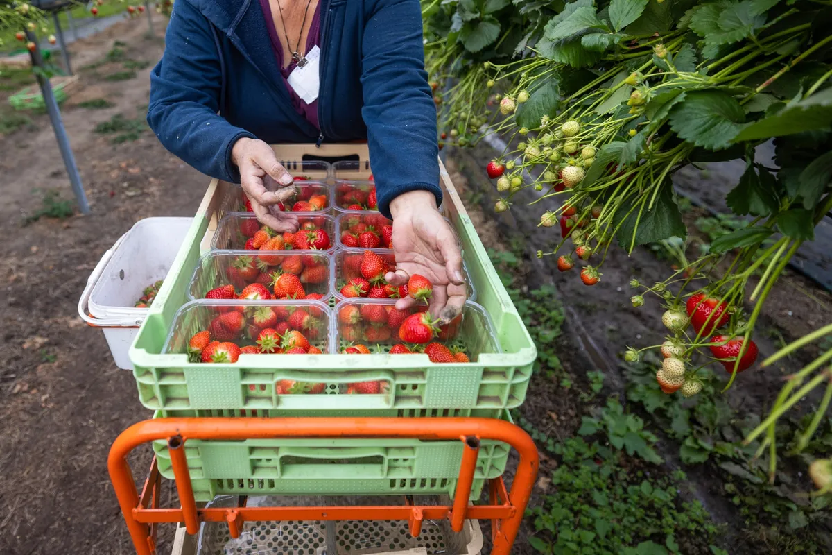 vu mua chau au anh 2