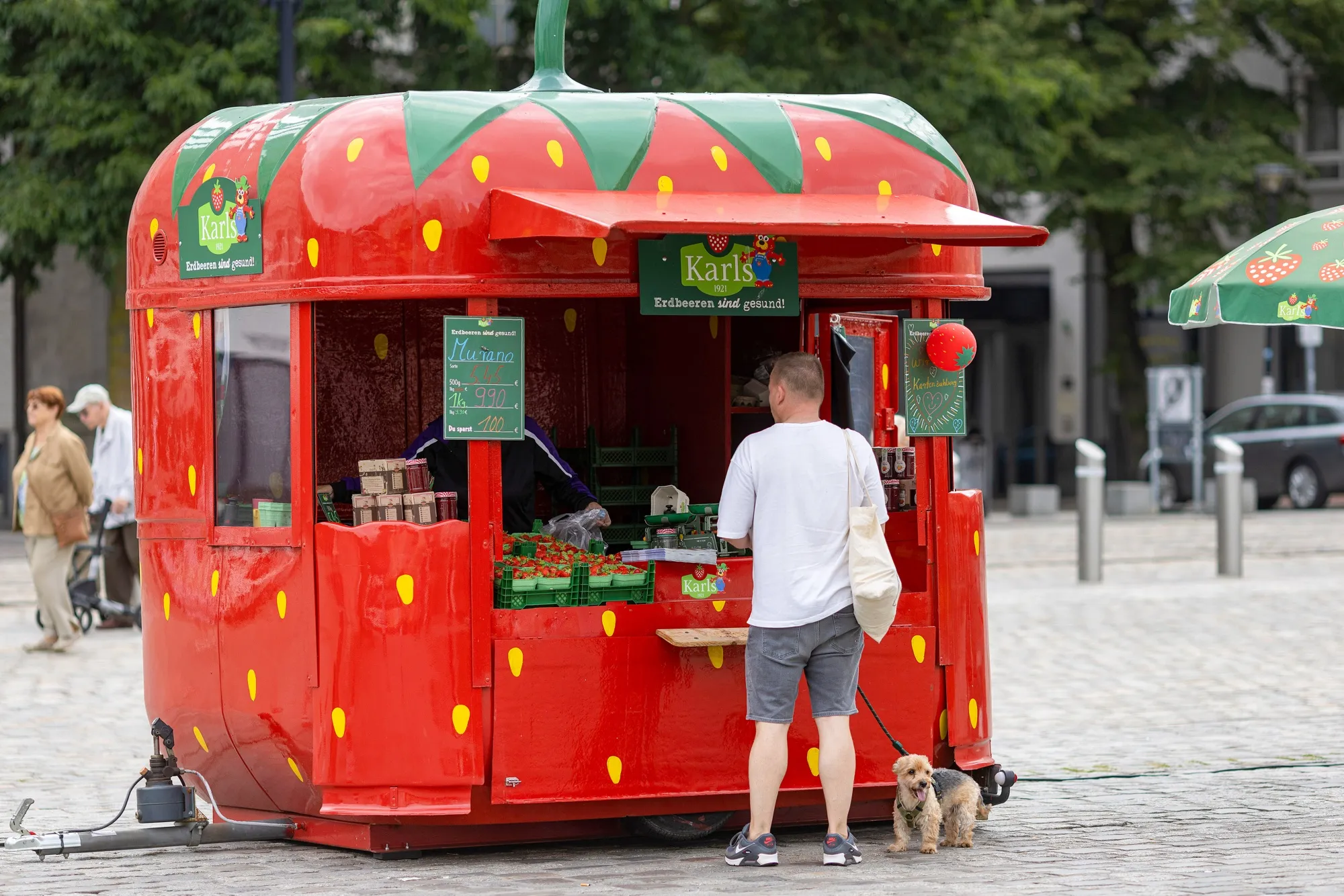 Chau Au 'dau dau' vi thoi tiet hon loan hinh anh