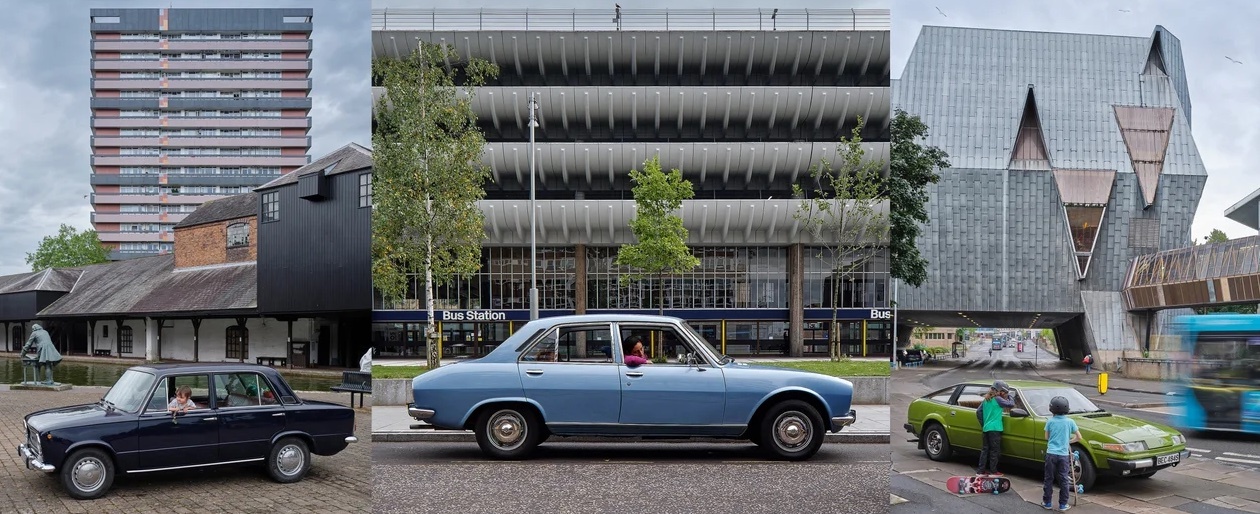 Buc anh hai hoa gay sung sot hinh anh