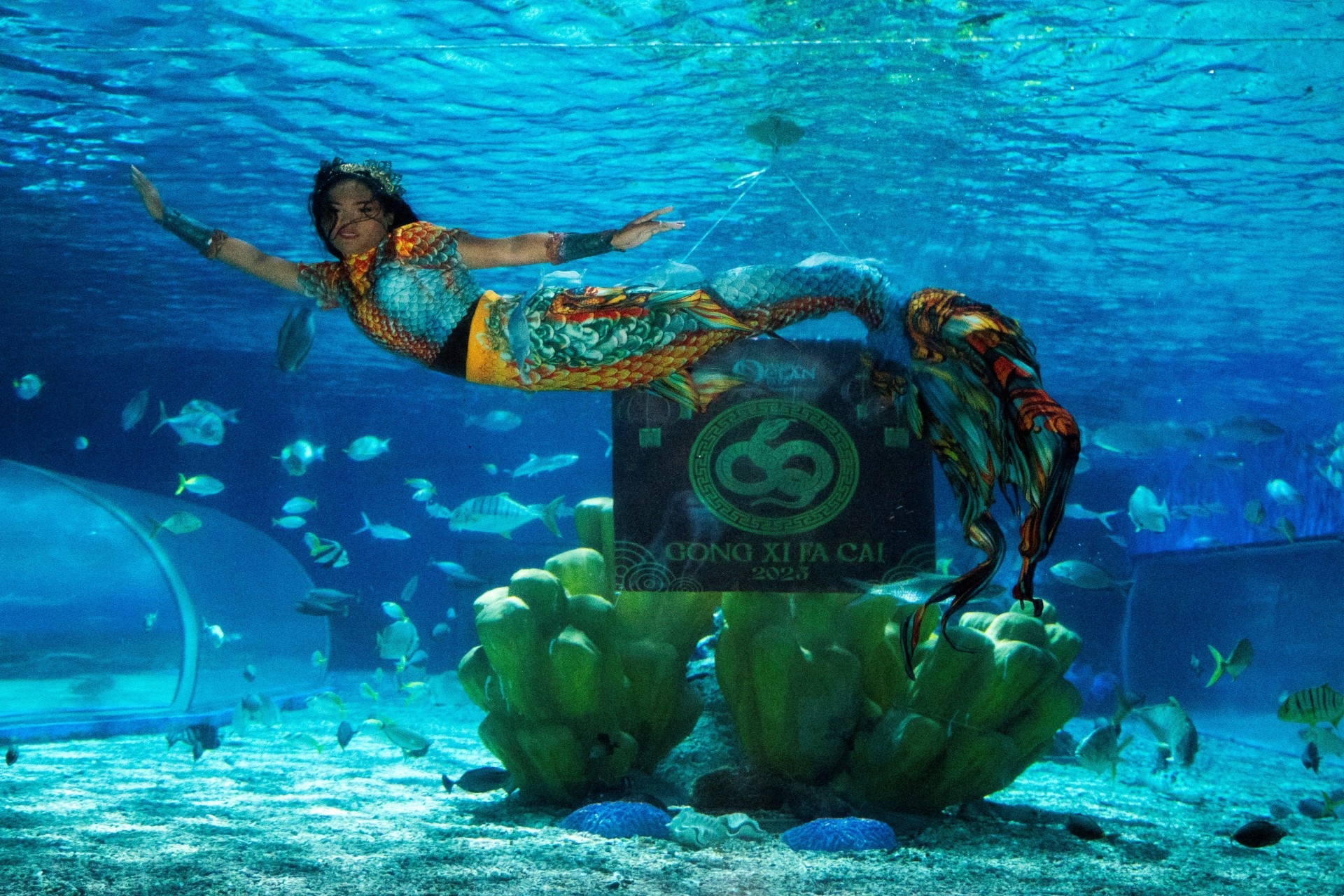 Tet Nguyen dan anh 17