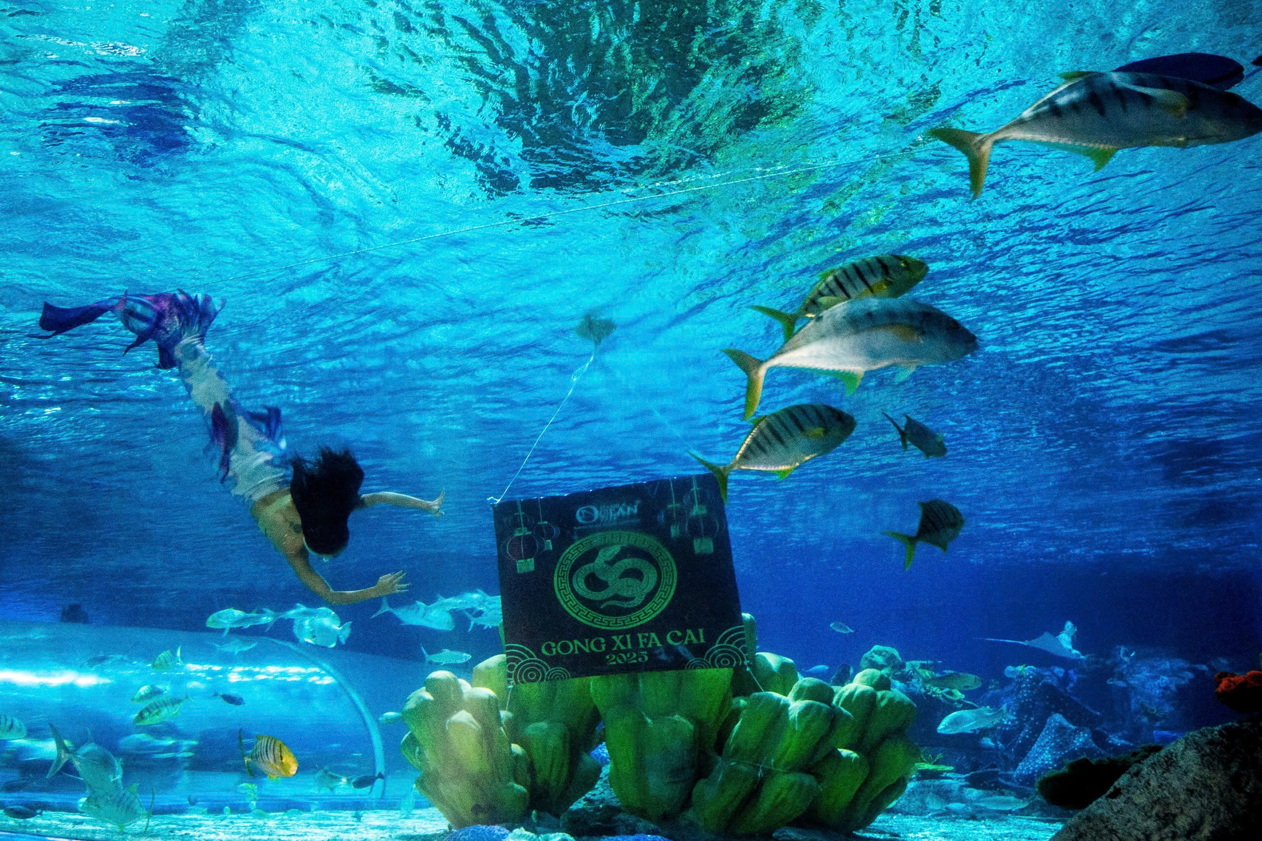 Tet Nguyen dan anh 19