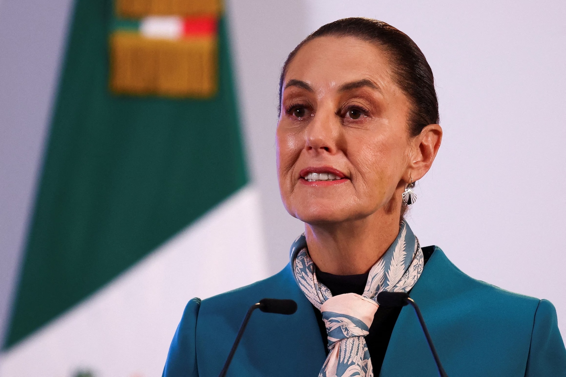 mexico kien musk anh 1