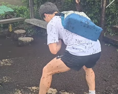 Nguoi Han Quoc kho so vi 'bo tinh yeu' hinh anh