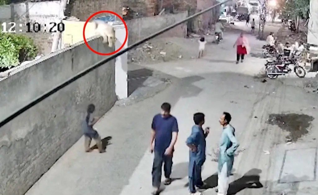 Su tu xong chuong tan cong nguoi ngay tren duong pho Pakistan hinh anh