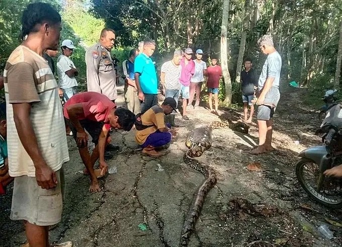 Tim thay thi the nguoi dan ong trong bung tran o Indonesia hinh anh