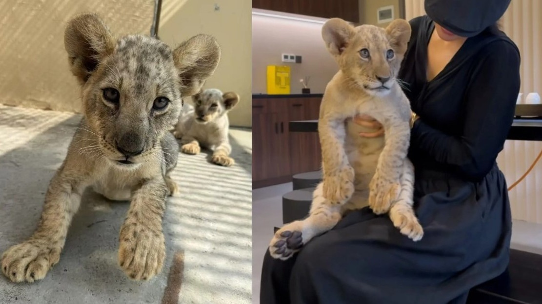 Dich vu om su tu khi uong tra gay tranh cai o Trung Quoc hinh anh