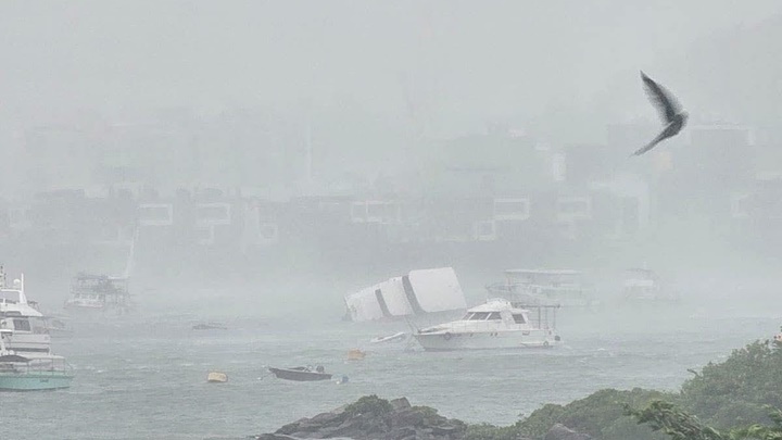 wipha do bo Trung Quoc anh 7