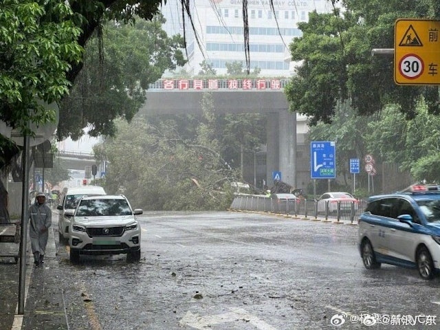 wipha do bo Trung Quoc anh 2