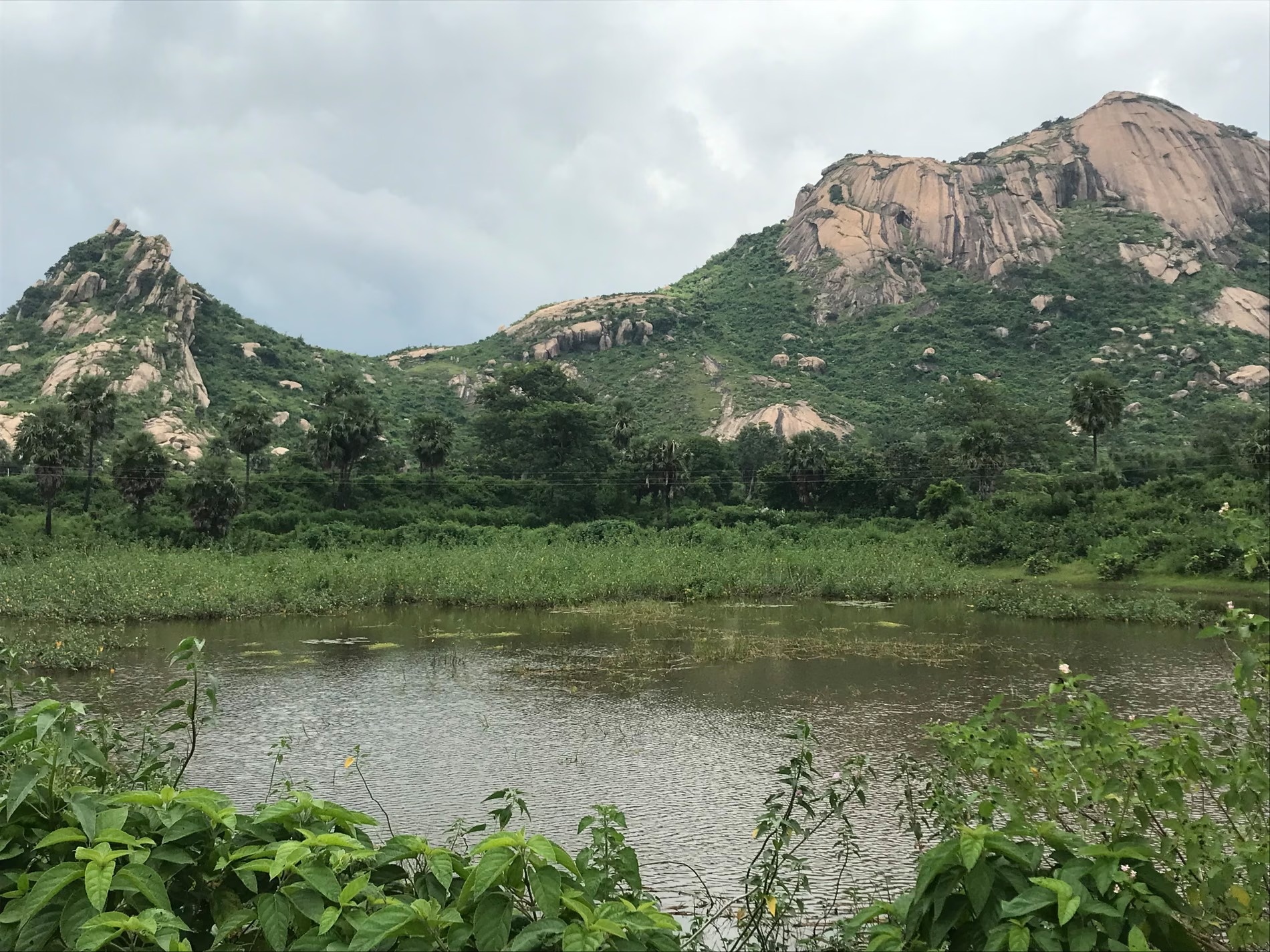 lang lua dao mang anh 1