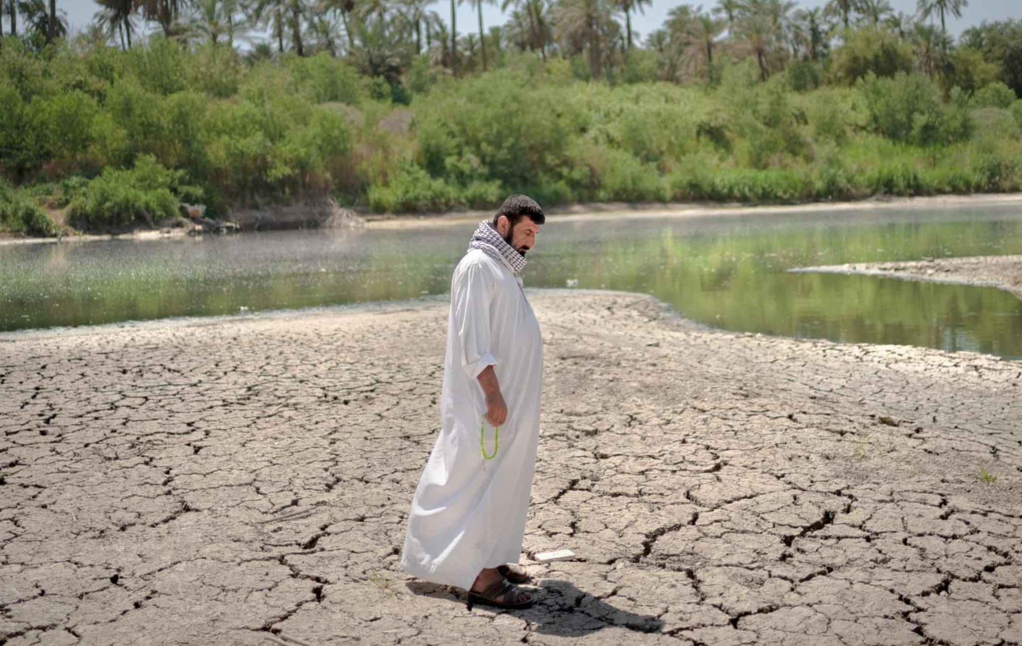 'Dai gia dau mo' Trung Dong buoc vao canh bac doi dau lay nuoc hinh anh