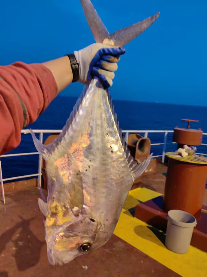 eo bien Hormuz anh 4