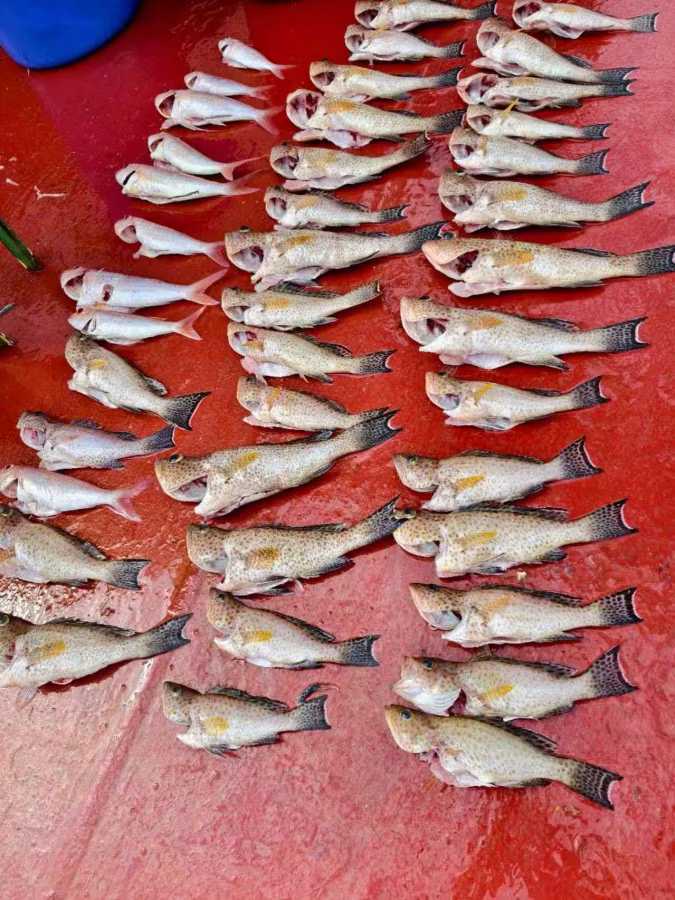 eo bien Hormuz anh 3